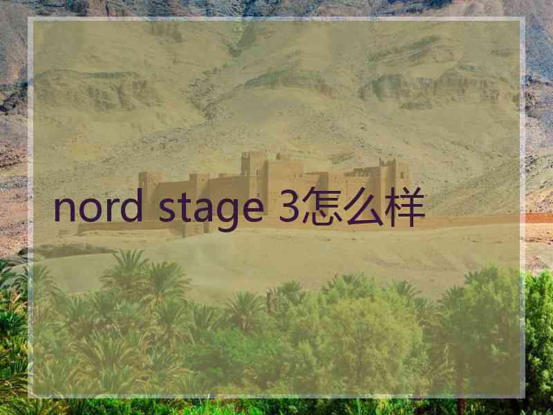 nord stage 3怎么样