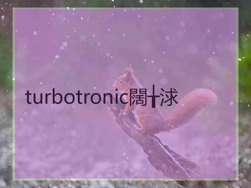 turbotronic闊╁浗