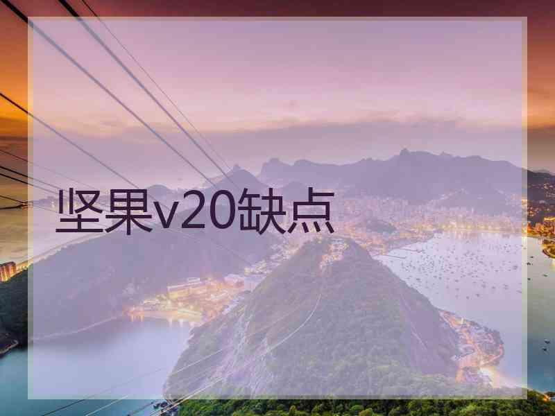 坚果v20缺点