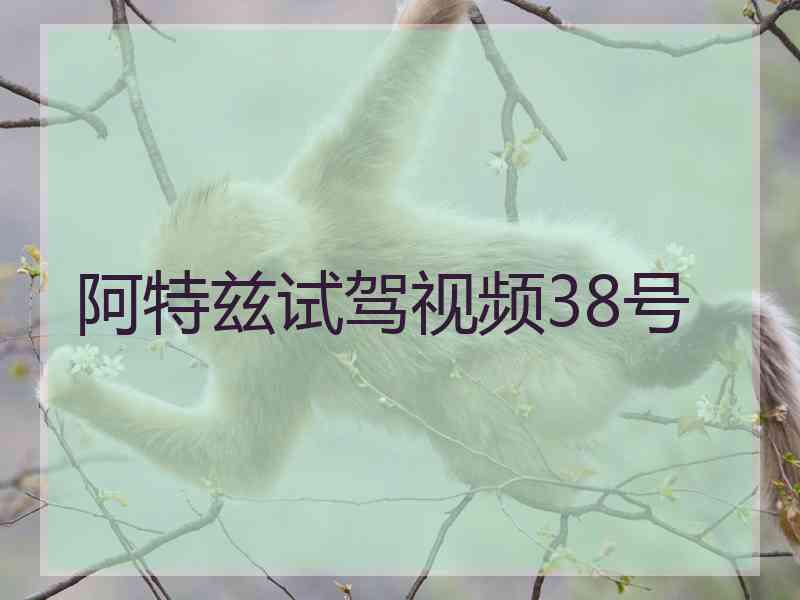 阿特兹试驾视频38号