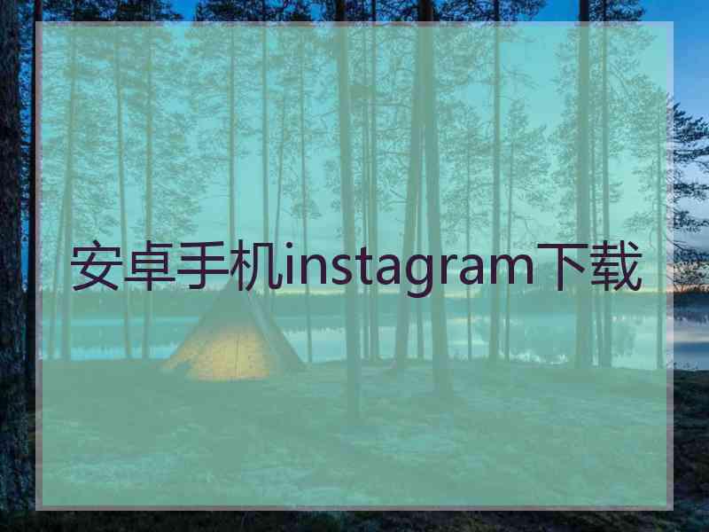 安卓手机instagram下载