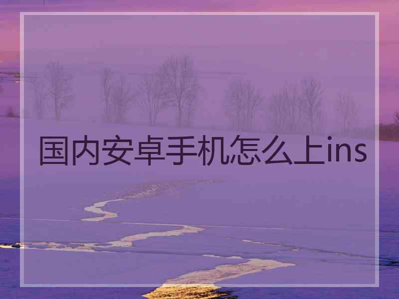 国内安卓手机怎么上ins