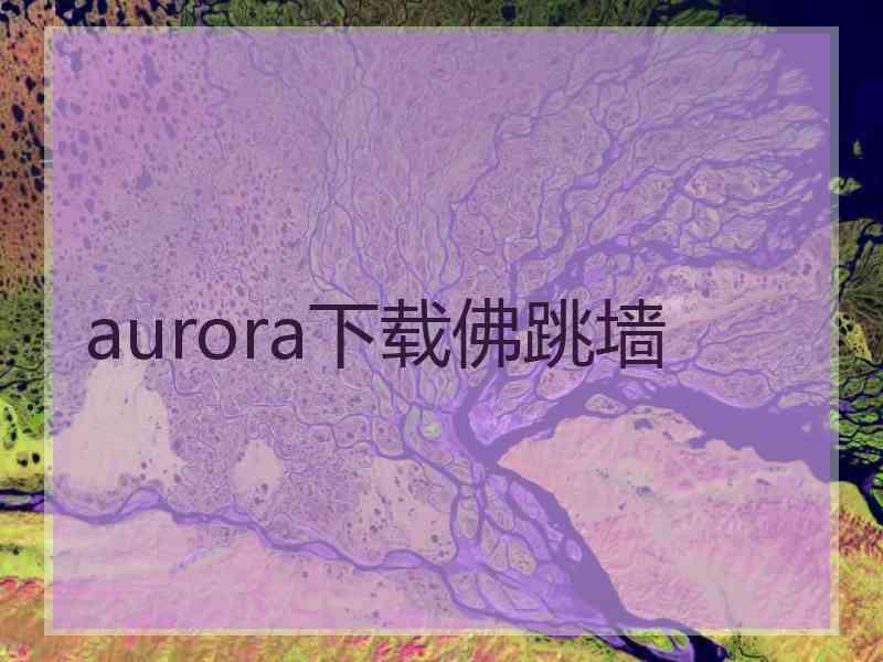 aurora下载佛跳墙