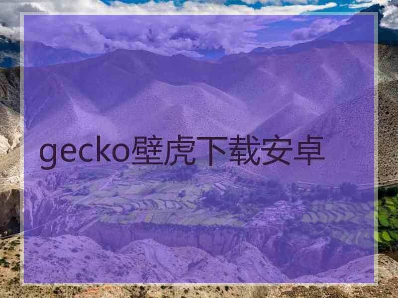 gecko壁虎下载安卓