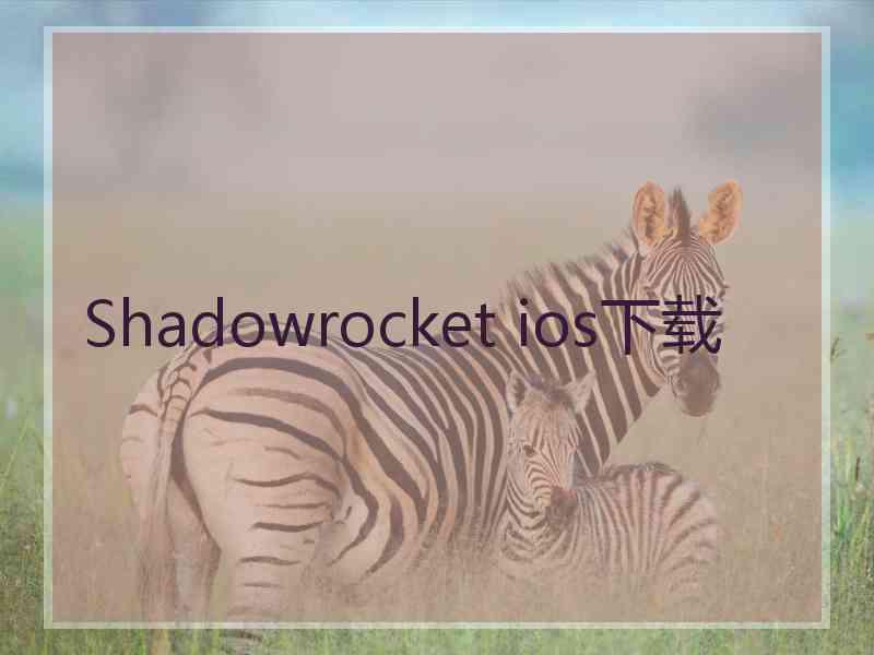 Shadowrocket ios下载