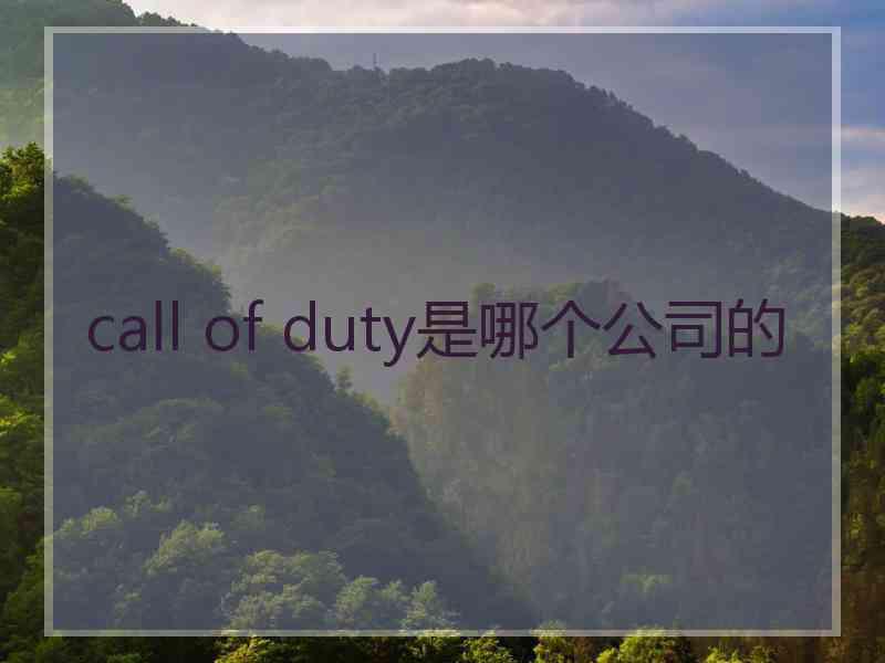 call of duty是哪个公司的