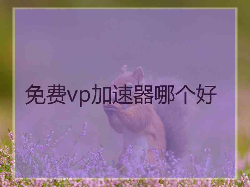 免费vp加速器哪个好