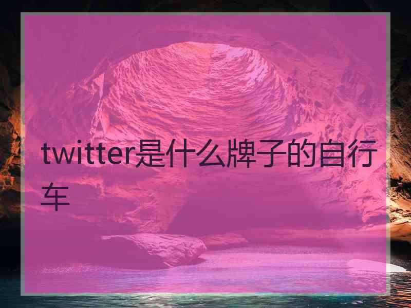 twitter是什么牌子的自行车