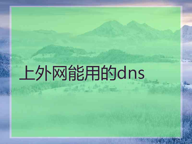 上外网能用的dns