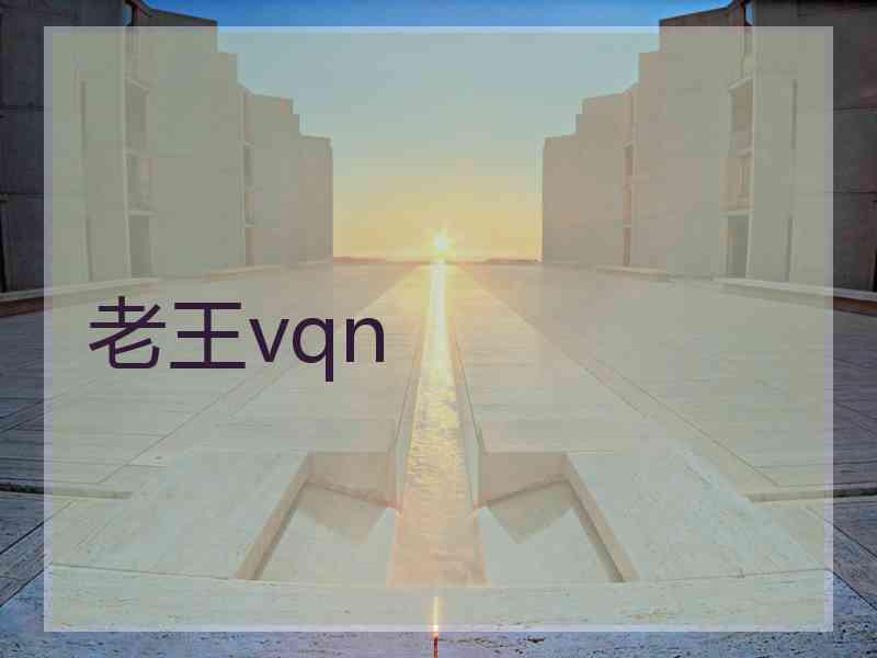 老王vqn