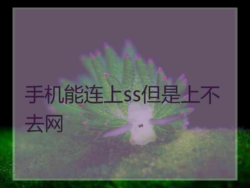 手机能连上ss但是上不去网