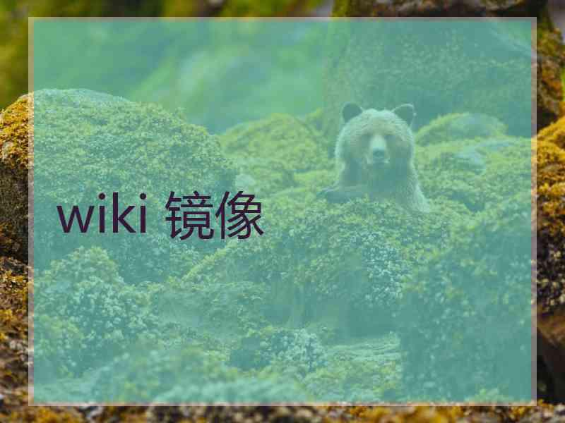 wiki 镜像