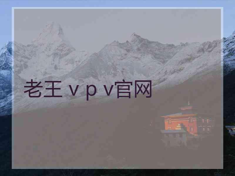 老王 v p v官网