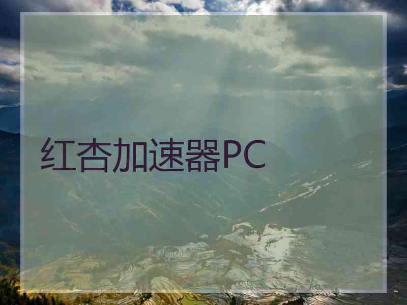 红杏加速器PC