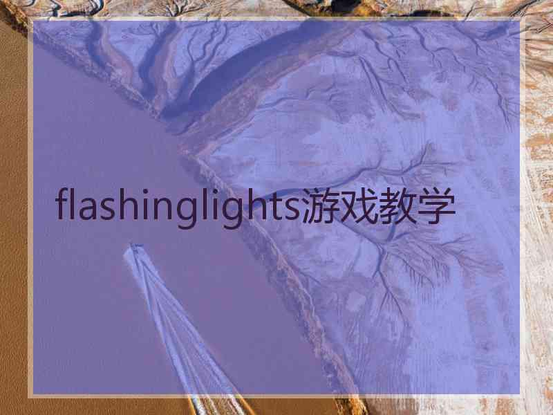 flashinglights游戏教学