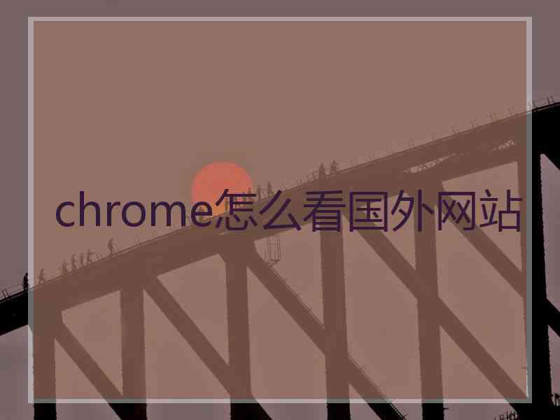 chrome怎么看国外网站