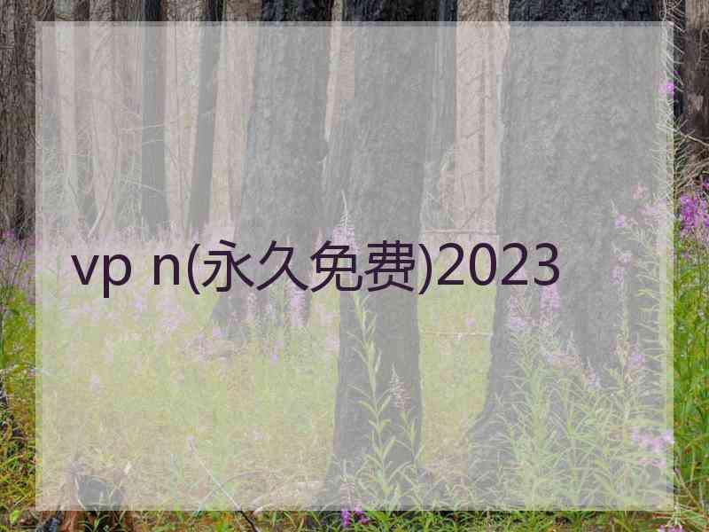 vp n(永久免费)2023