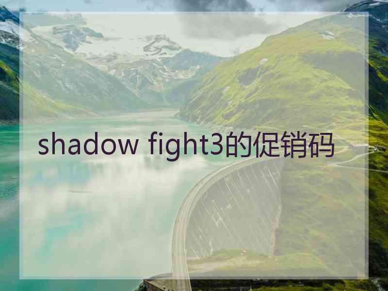 shadow fight3的促销码