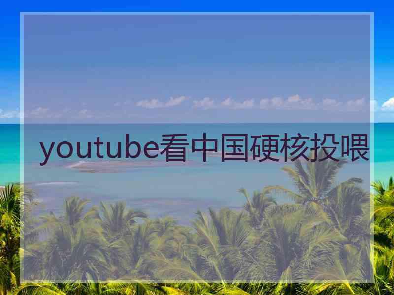 youtube看中国硬核投喂