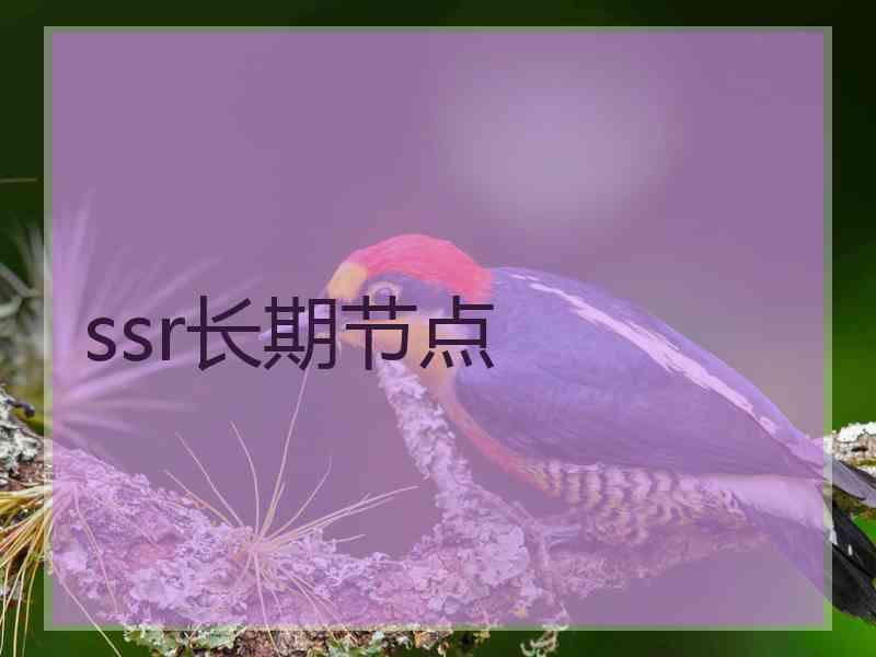 ssr长期节点