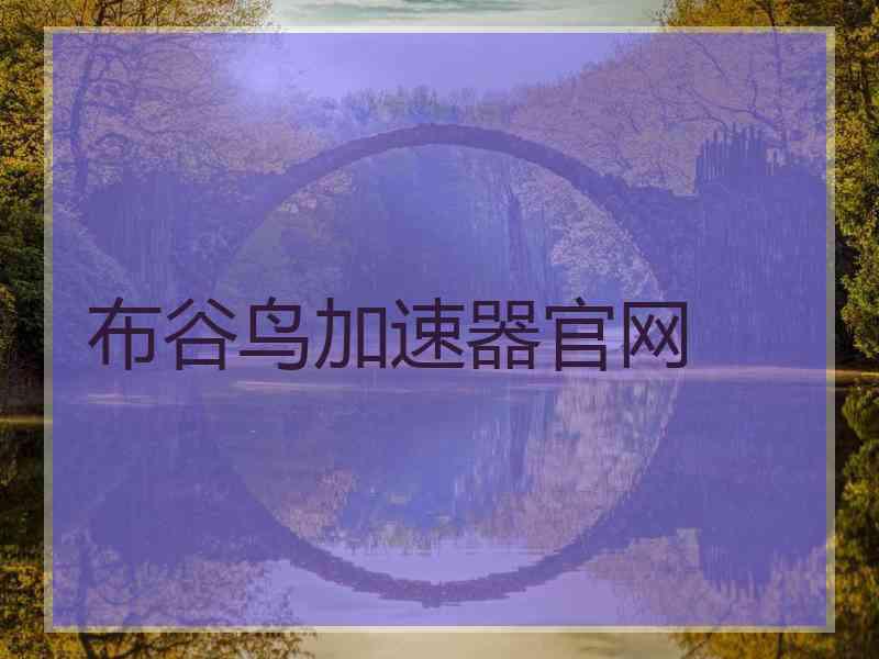 布谷鸟加速器官网