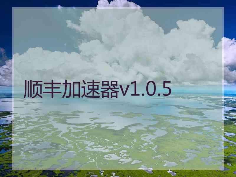 顺丰加速器v1.0.5