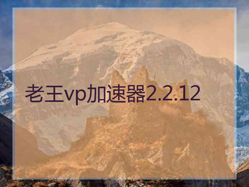 老王vp加速器2.2.12