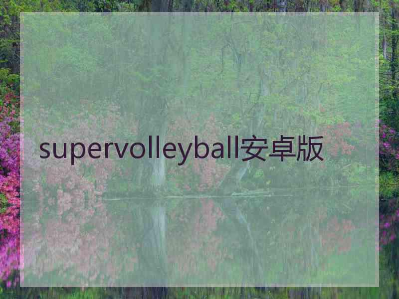 supervolleyball安卓版