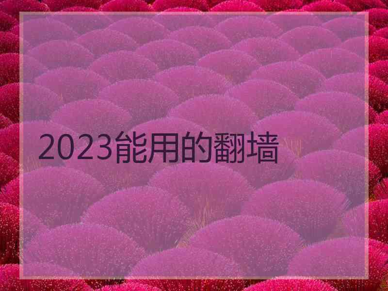 2023能用的翻墙