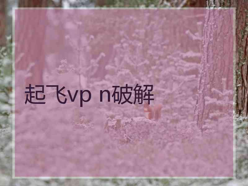 起飞vp n破解