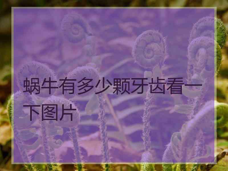 蜗牛有多少颗牙齿看一下图片