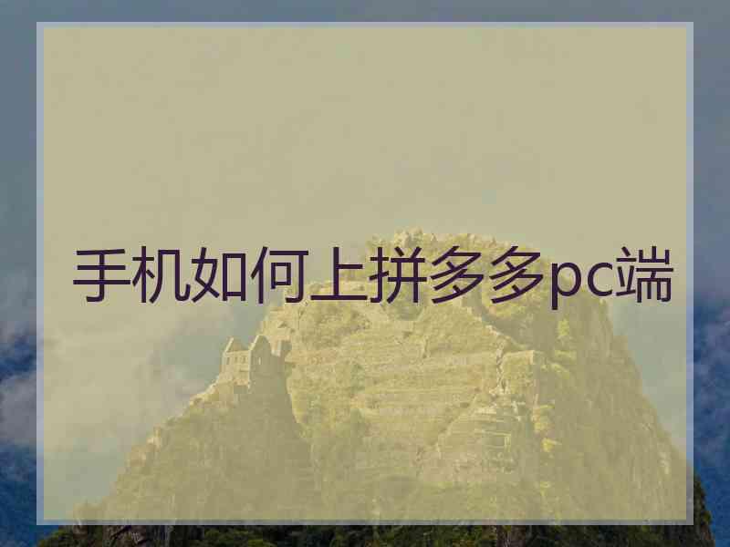 手机如何上拼多多pc端