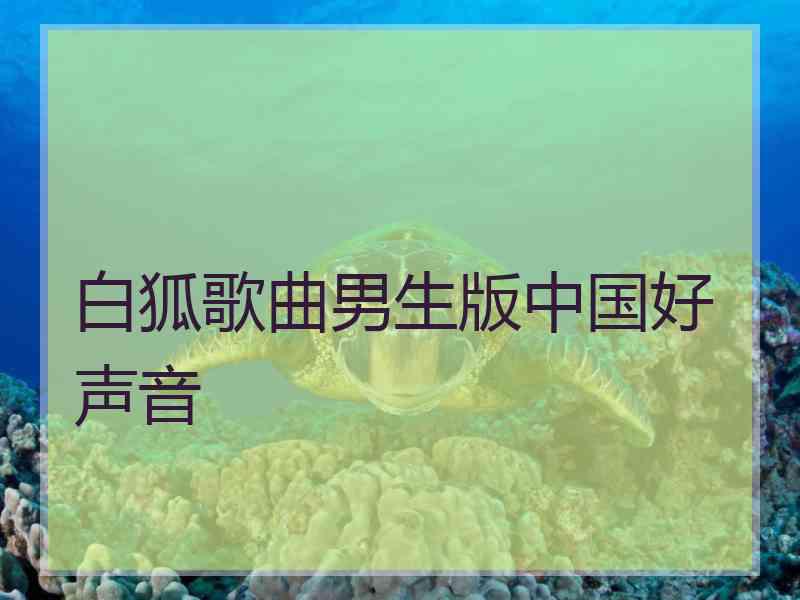 白狐歌曲男生版中国好声音