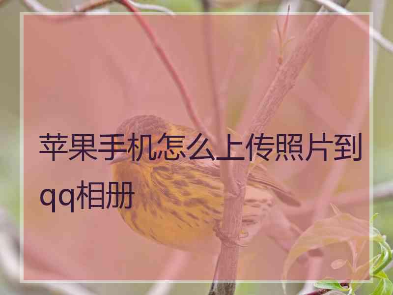 苹果手机怎么上传照片到qq相册