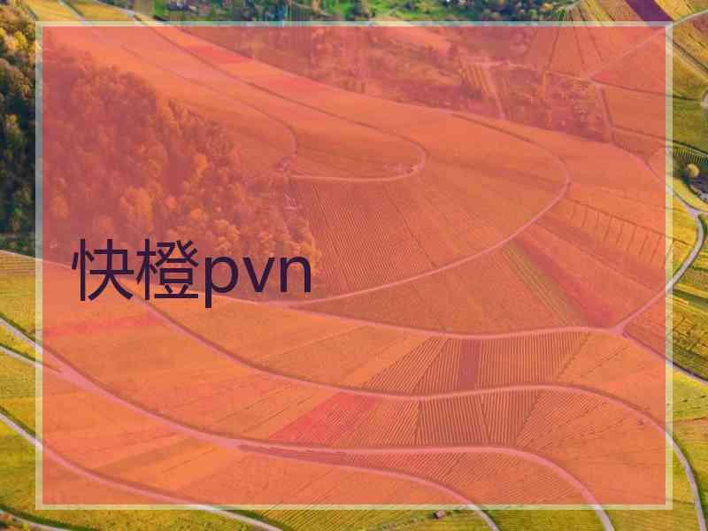 快橙pvn