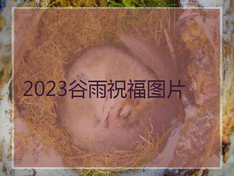 2023谷雨祝福图片