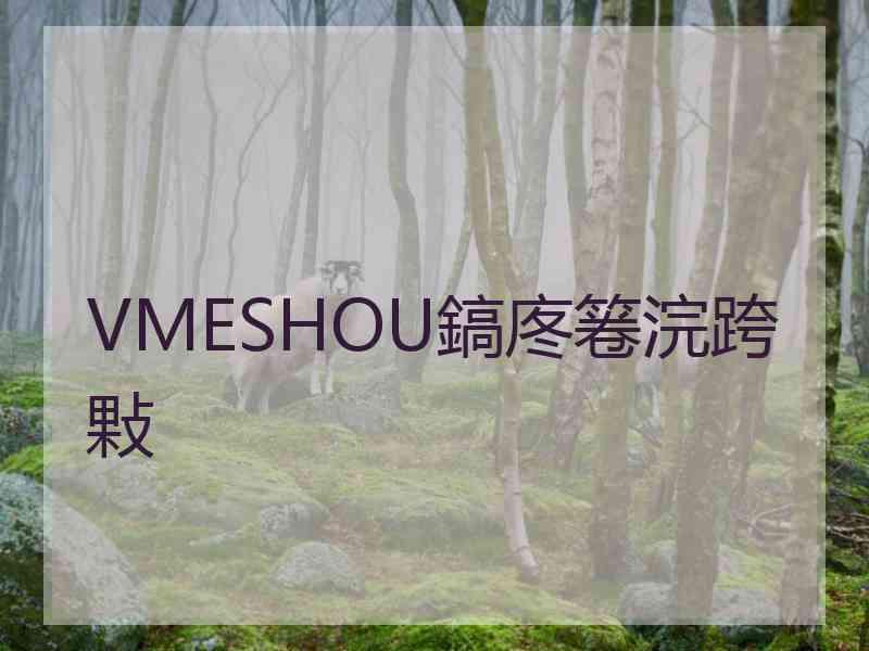 VMESHOU鎬庝箞浣跨敤