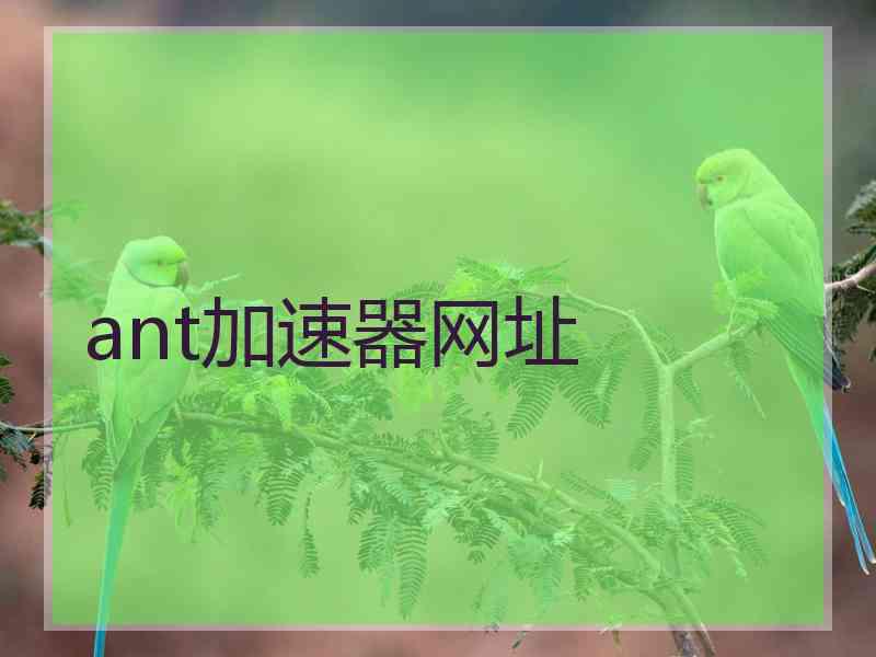 ant加速器网址