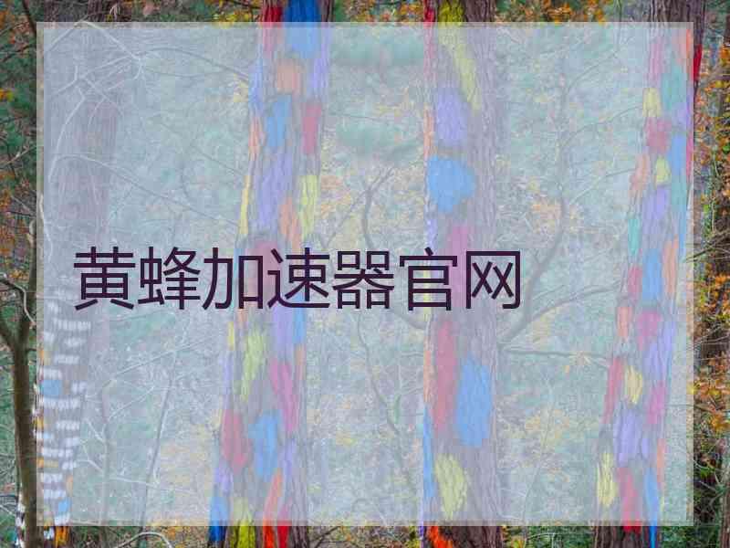 黄蜂加速器官网