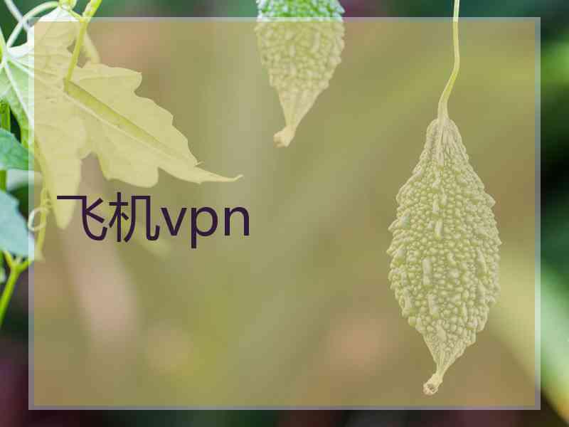 飞机vpn