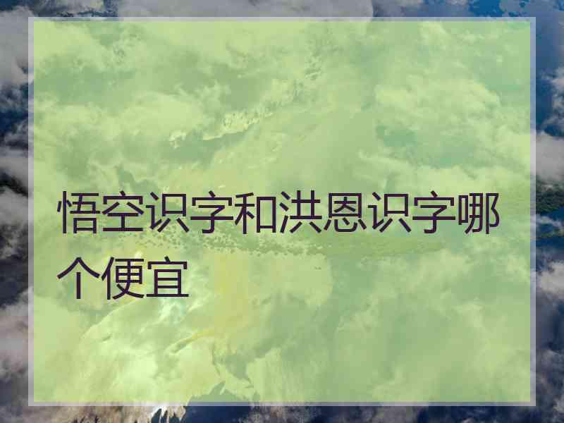 悟空识字和洪恩识字哪个便宜