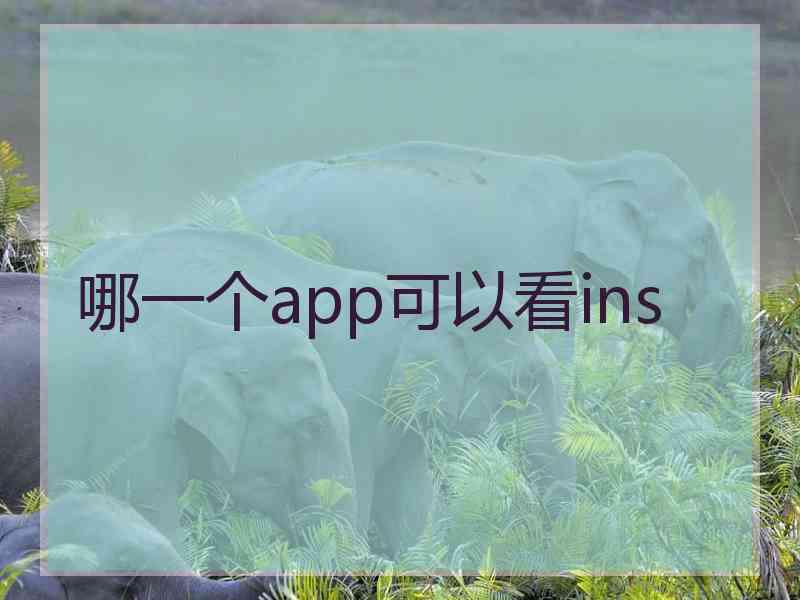 哪一个app可以看ins