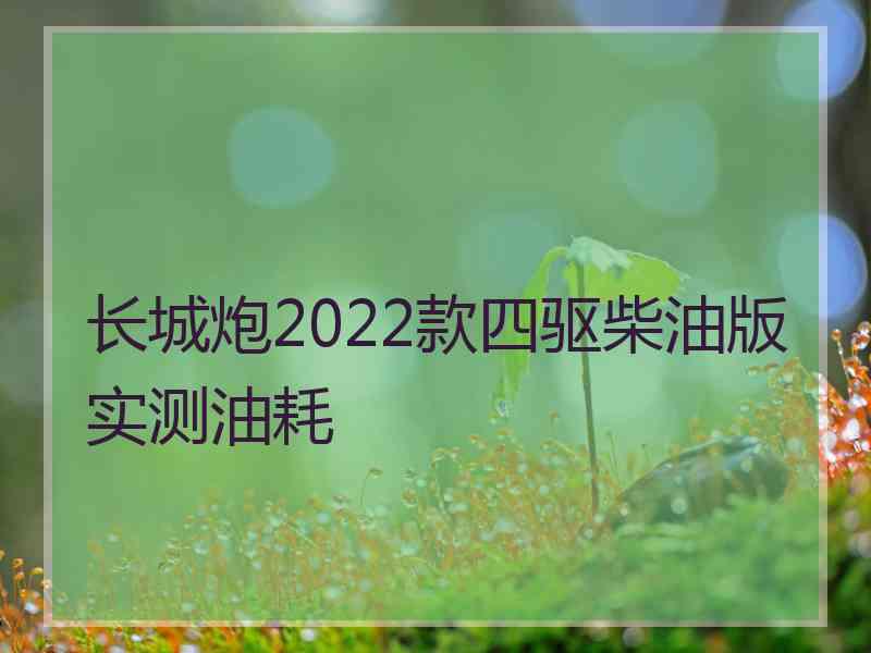 长城炮2022款四驱柴油版实测油耗