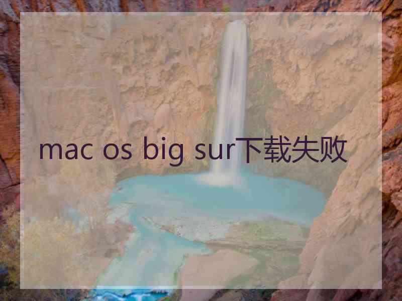 mac os big sur下载失败