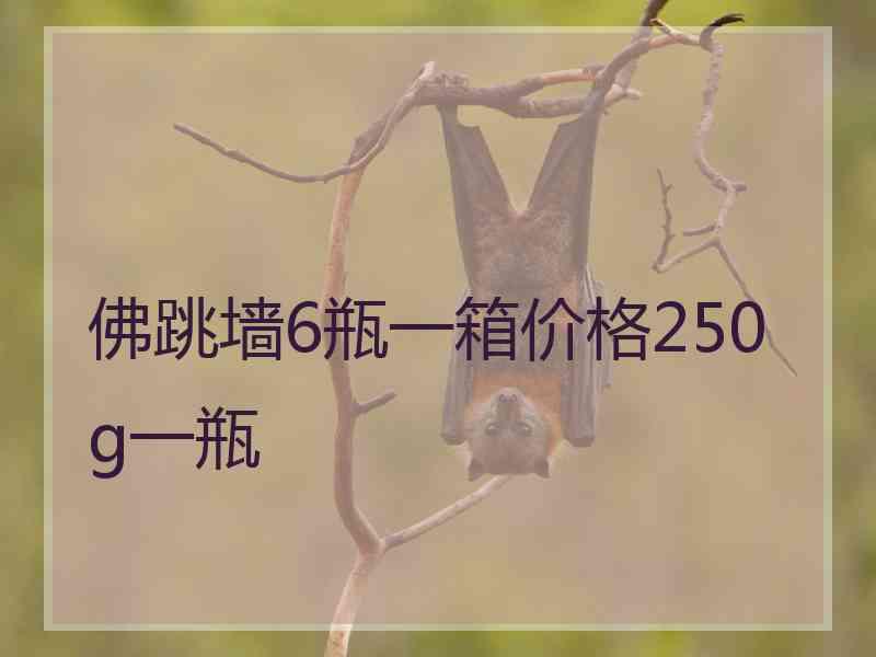 佛跳墙6瓶一箱价格250g一瓶