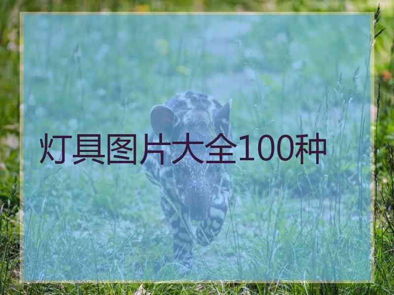 灯具图片大全100种