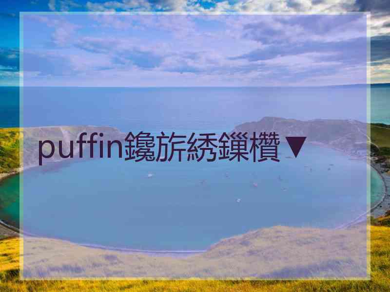 puffin鑱旂綉鏁欑▼