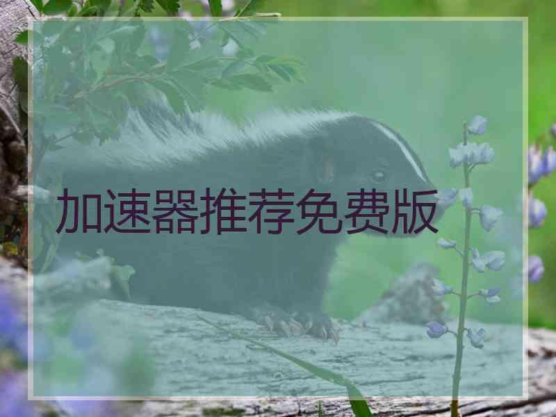 加速器推荐免费版