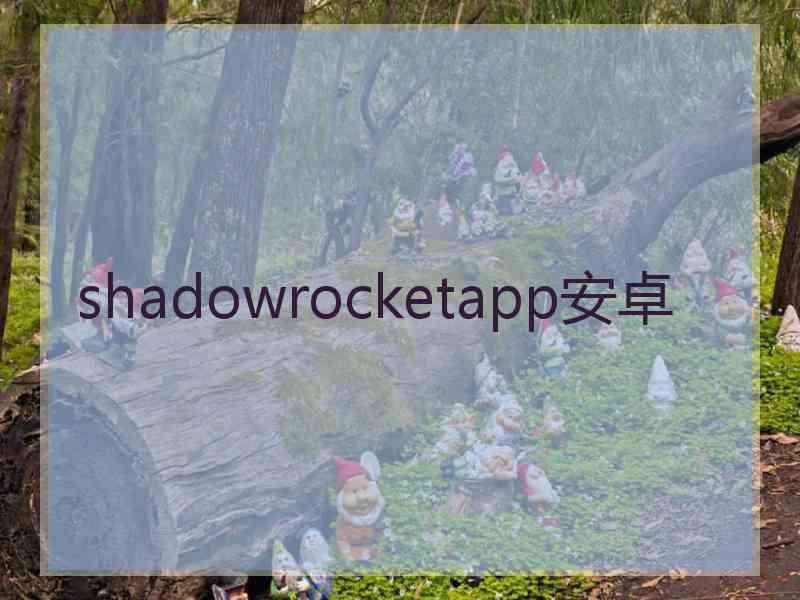 shadowrocketapp安卓