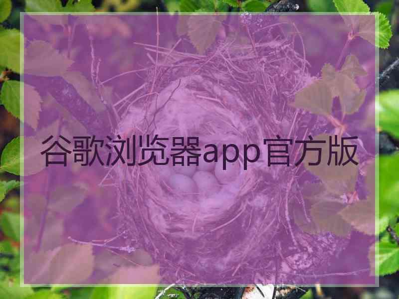 谷歌浏览器app官方版